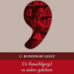 De Blauwbilgorgel en andere gedichten - C. Buddingh' De Blauwbilgorgel en andere gedichten - C. Buddingh'
