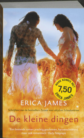 De kleine dingen - Erica James De kleine dingen - Erica James