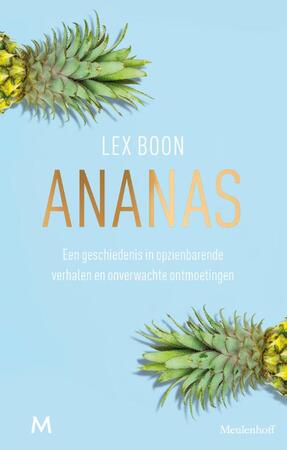 Ananas - Lex Boon Ananas - Lex Boon