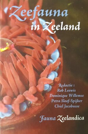 Zeefauna in Zeeland - Zeefauna in Zeeland -