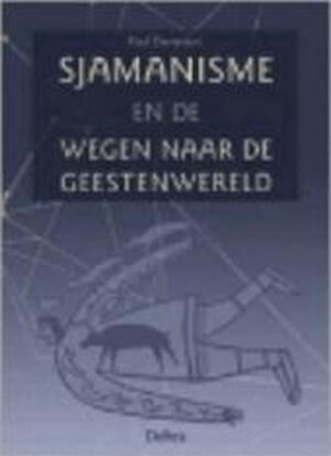 Sjamanisme en de wegen naar de geestenwereld - P. Devereux Sjamanisme en de wegen naar de geestenwereld - P. Devereux