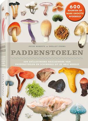 Paddenstoelen - 600 soorten op ware grootte afgebeeld - Peter Roberts Paddenstoelen - 600 soorten op ware grootte afgebeeld - Peter Roberts