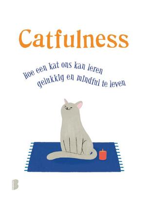 Catfulness - Paolo Valentino Catfulness - Paolo Valentino