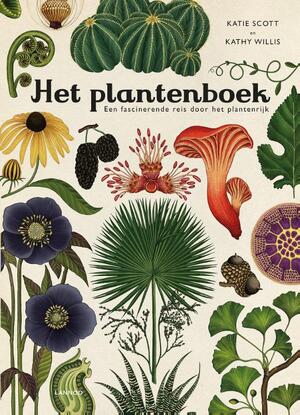 Het plantenboek - Katie Scott, Kathy Willis Het plantenboek - Katie Scott, Kathy Willis