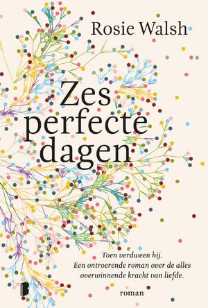Zes perfecte dagen - Rosie Walsh Zes perfecte dagen - Rosie Walsh
