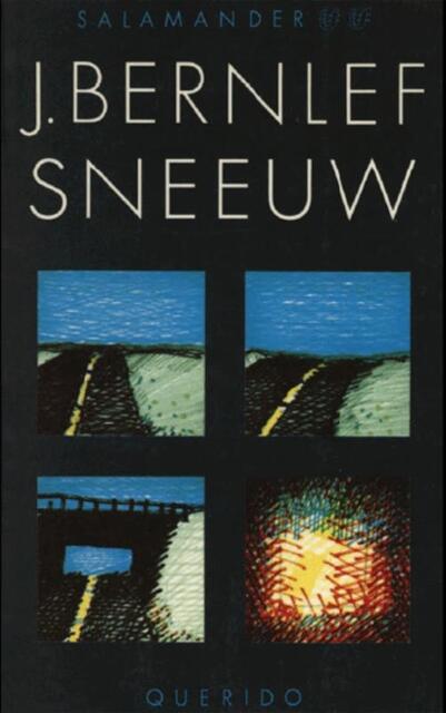 Sneeuw - J. Bernlef Sneeuw - J. Bernlef