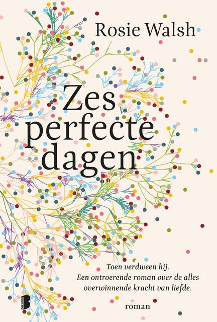 Zes perfecte dagen - Rosie Walsh Zes perfecte dagen - Rosie Walsh