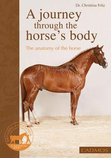 A Journey Through the Horse's Body - Dr. Christina Fritz A Journey Through the Horse's Body - Dr. Christina Fritz