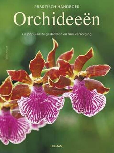 Praktisch handboek orchideeen - Jorn Pinkse Praktisch handboek orchideeen - Jorn Pinkse